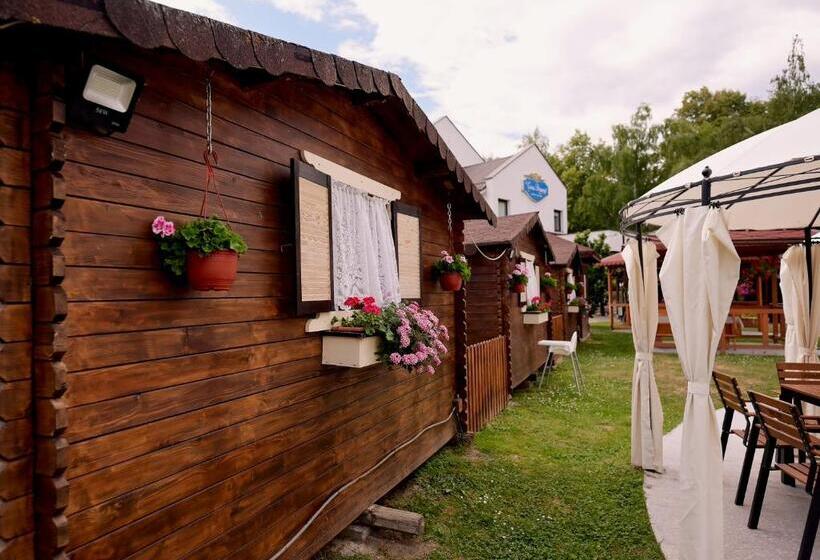 Pensiunea Casa Doamnei Voronet