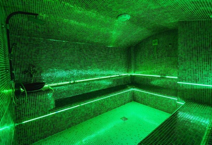 אתר נופש Carpat Inn