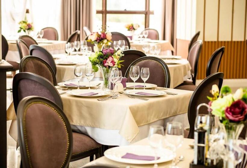 אתר נופש Carpat Inn