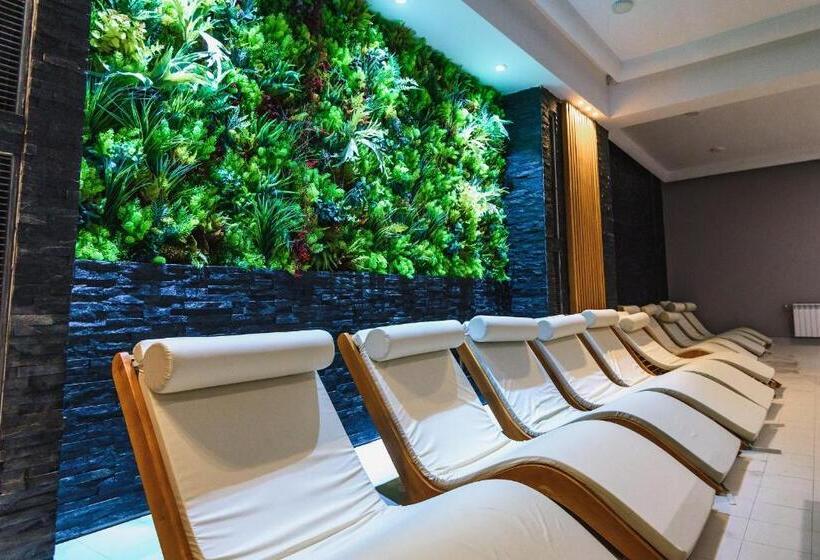 استراحتگاه Carpat Inn