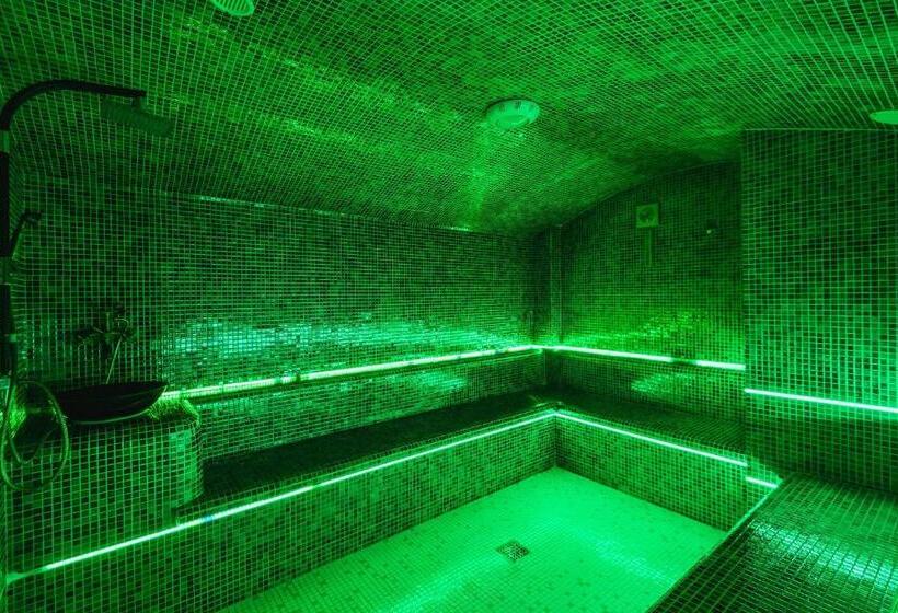 אתר נופש Carpat Inn