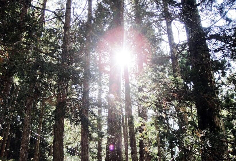 Riverside Hostel B&b – Hostel