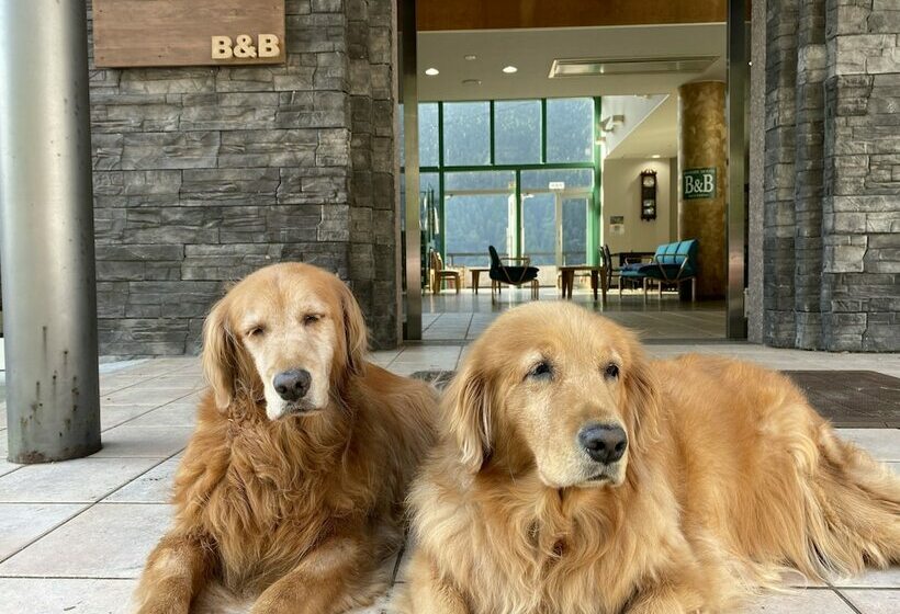 Riverside Hostel B&b – Hostel