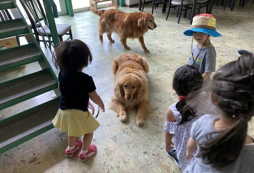 Riverside Hostel B&b – Hostel