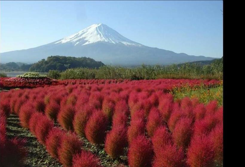 تختخواب و صبحانه Kakureyado Fujikawaguchiko