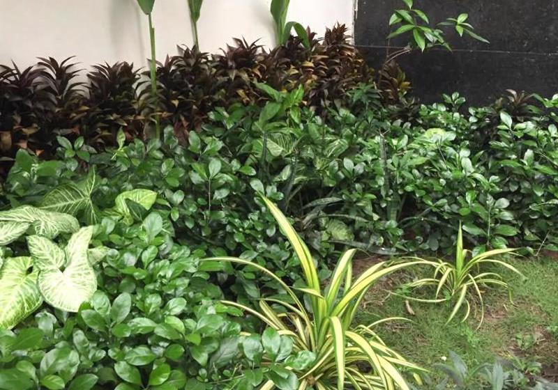 تختخواب و صبحانه Nup Saigon Homestay