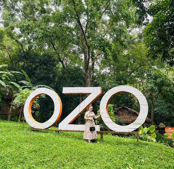 تختخواب و صبحانه Peaceful House Hostel