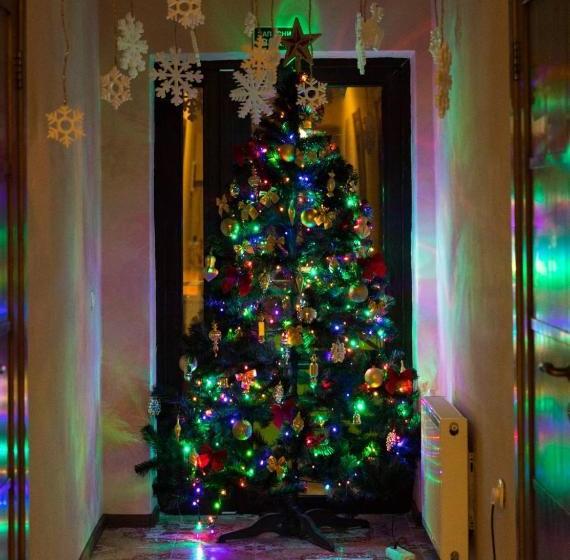 בית מלון כפרי 7/24