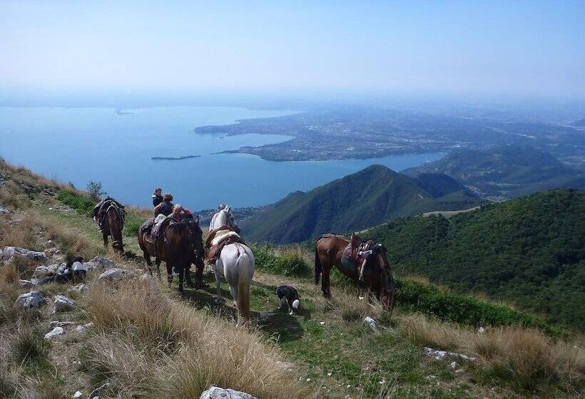 酒店 Ennesima Osteria Con Alloggio  Bike