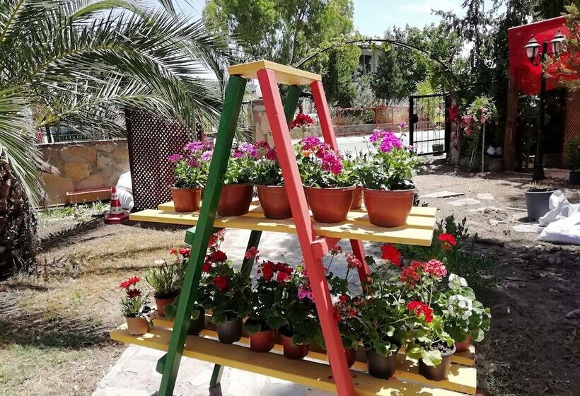 酒店 Green House Boğaziçi – Dodo House