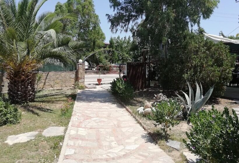 酒店 Green House Boğaziçi – Dodo House