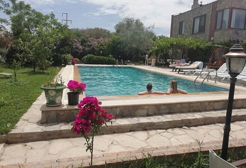 호텔 Green House Boğaziçi – Dodo House