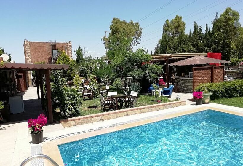 هتل Green House Boğaziçi – Dodo House