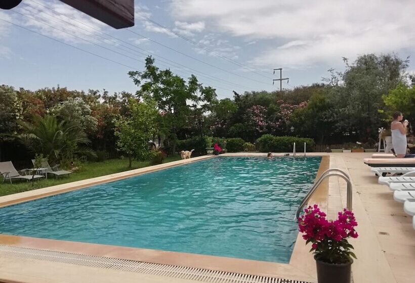 酒店 Green House Boğaziçi – Dodo House