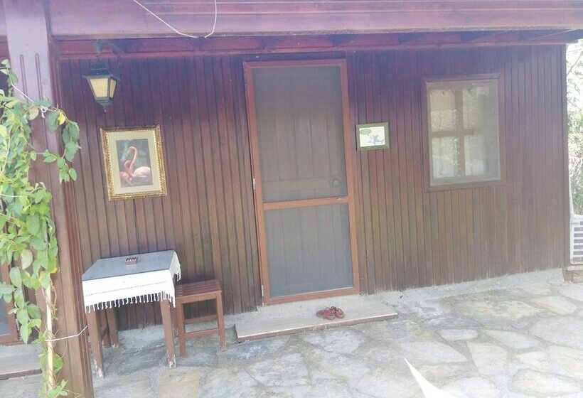 هتل Green House Boğaziçi – Dodo House