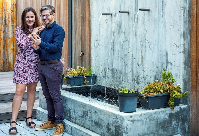 Old Bank Hotel Lion Roars Hotels & Lodges