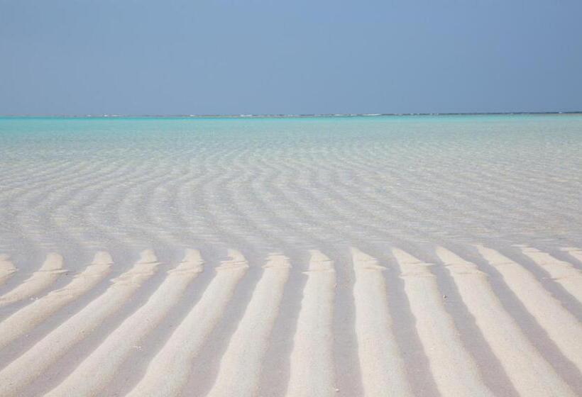 Meedafu's Yui Hostel And Coffee