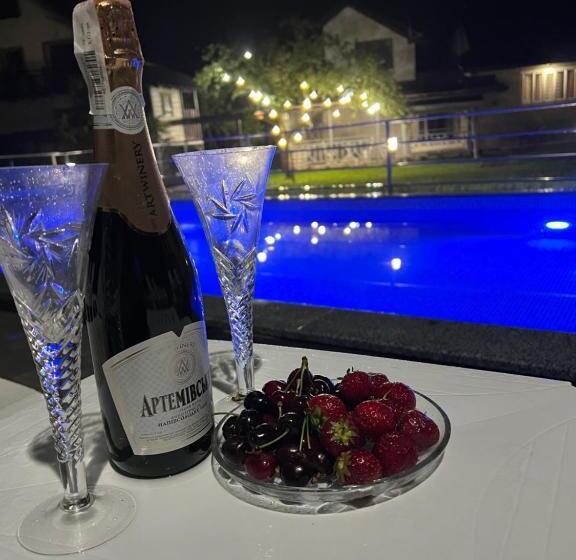 پانسیون фенікс