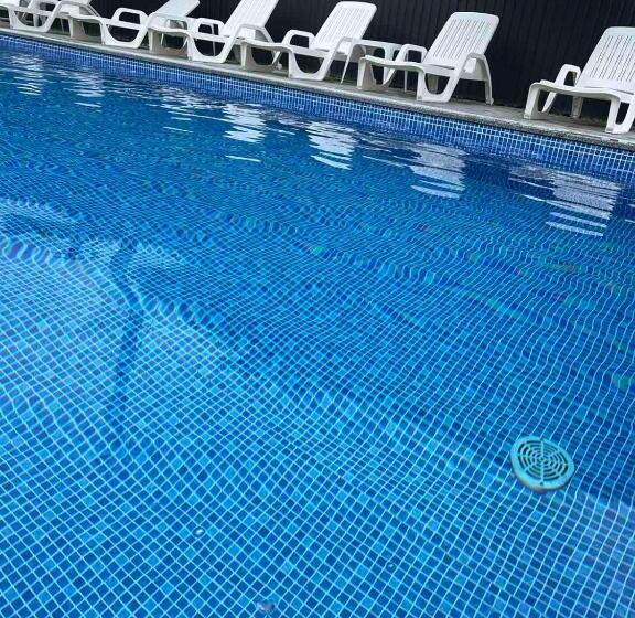 پانسیون фенікс