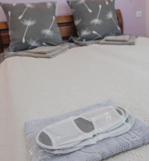 پانسیون фенікс