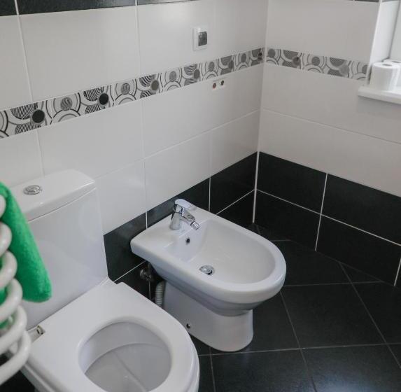 پانسیون фенікс