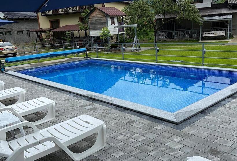 پانسیون фенікс