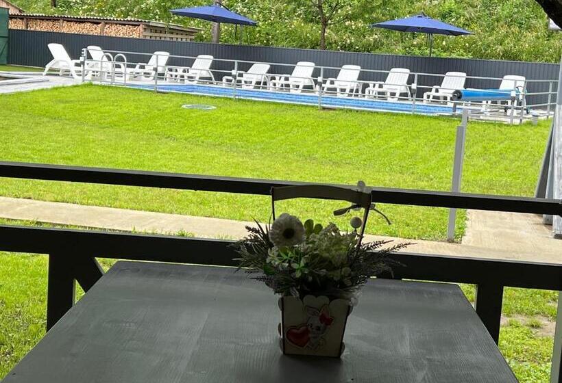 پانسیون фенікс