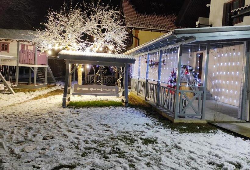 پانسیون фенікс