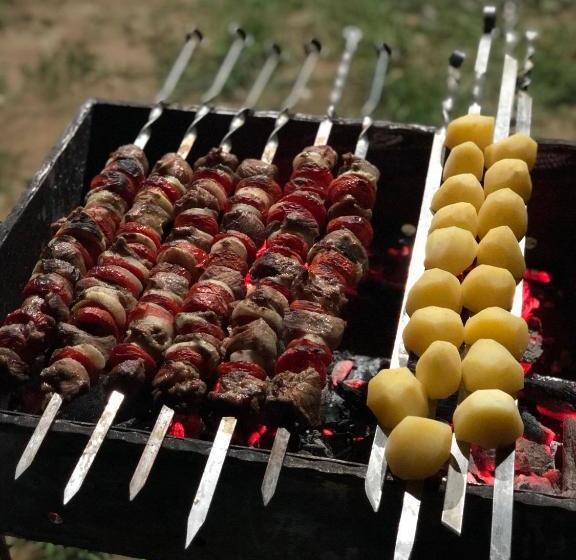 پانسیون орхидея