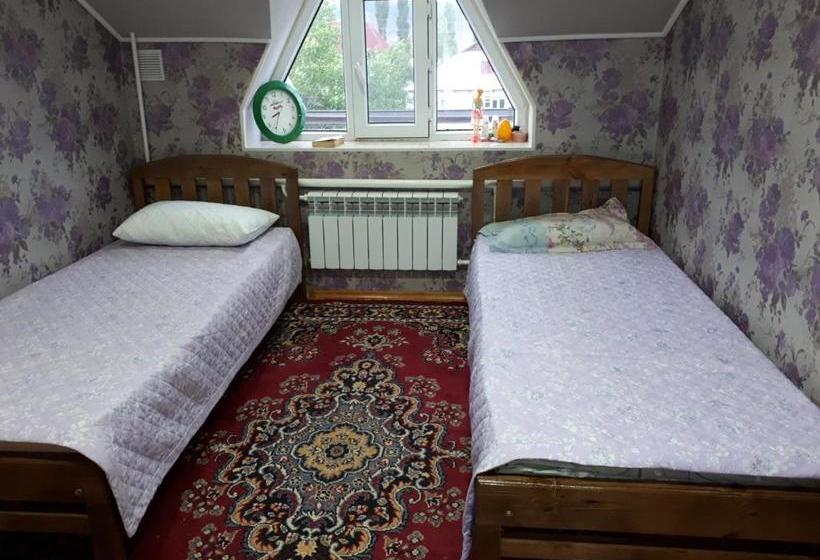 پانسیون Traveller