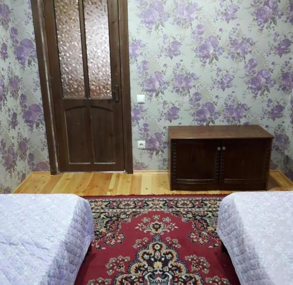 پانسیون Traveller