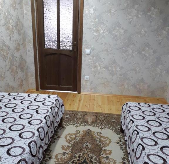 پانسیون Traveller