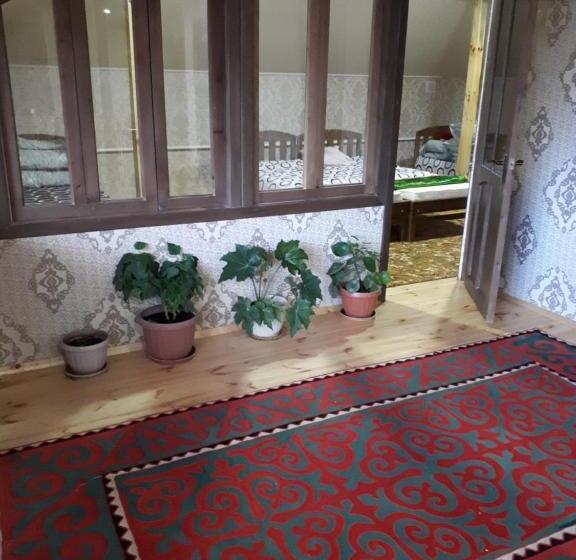 پانسیون Traveller