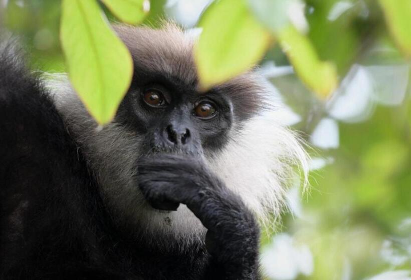 渡假胜地  Malabar Hill