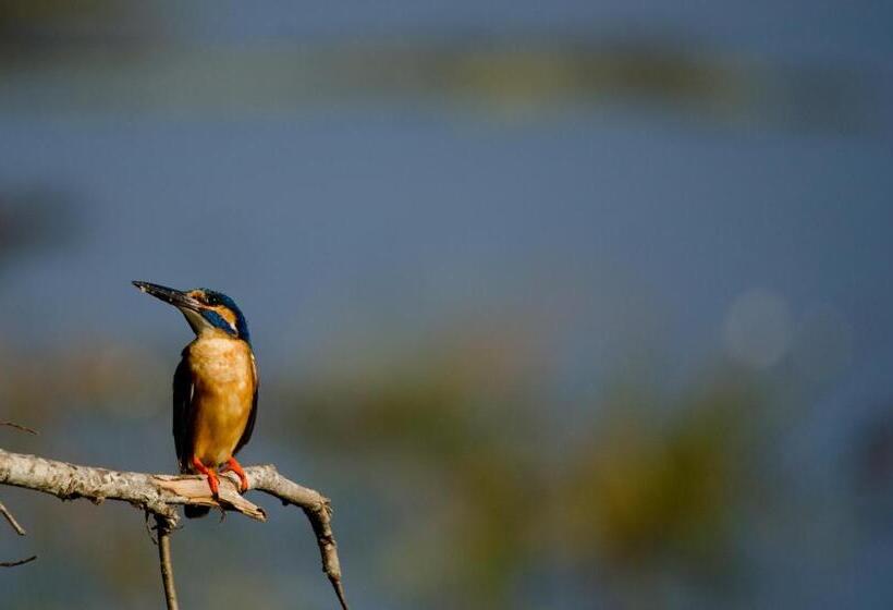 渡假胜地  Malabar Hill