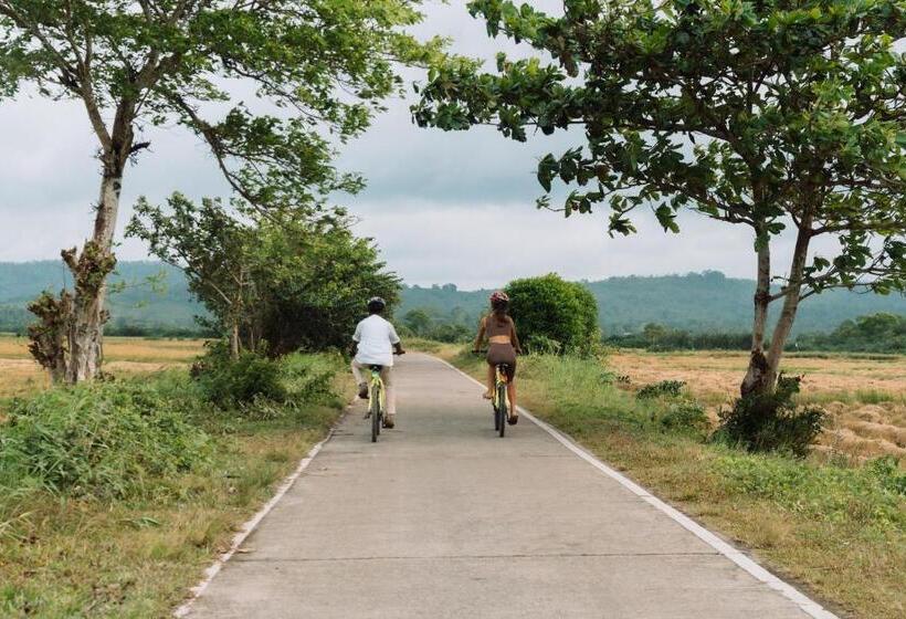 渡假胜地  Malabar Hill