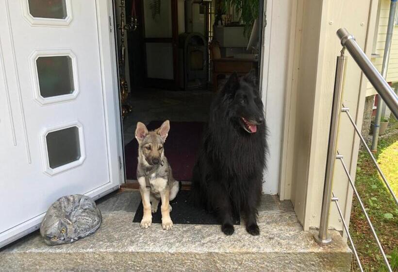 Waldhotel Auerhahn Hochkopfhaus