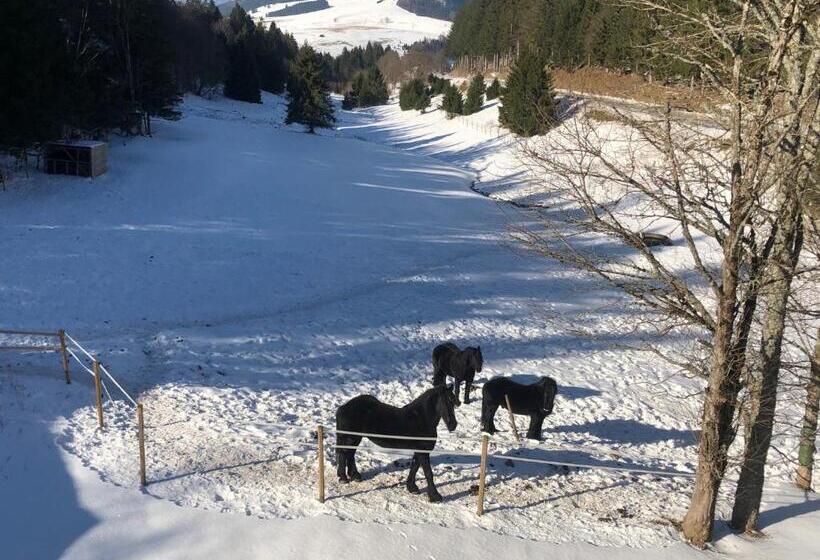 Waldhotel Auerhahn Hochkopfhaus