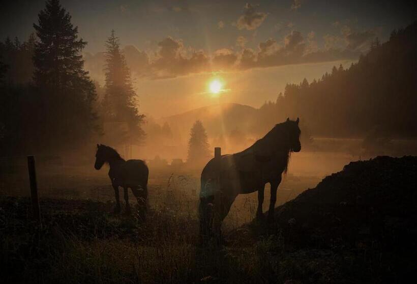 Waldhotel Auerhahn Hochkopfhaus