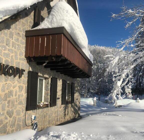Waldhotel Auerhahn Hochkopfhaus