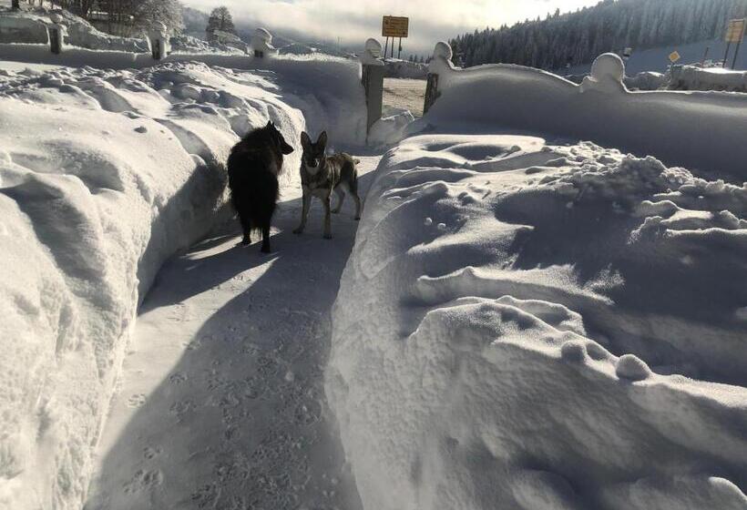 Waldhotel Auerhahn Hochkopfhaus