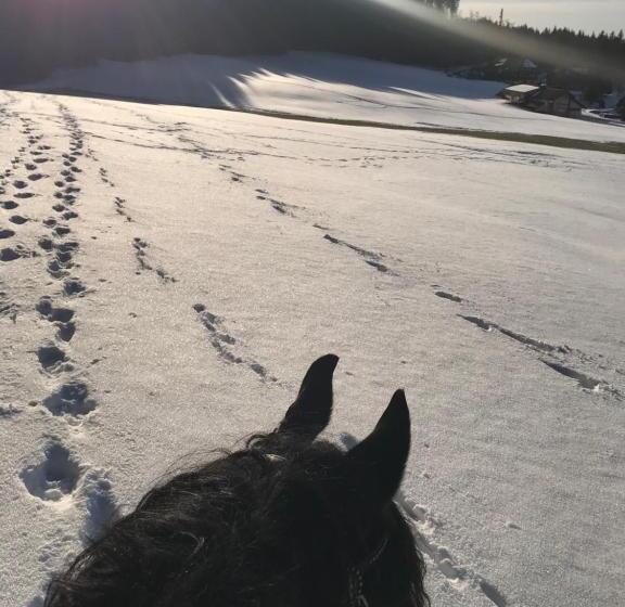 Waldhotel Auerhahn Hochkopfhaus