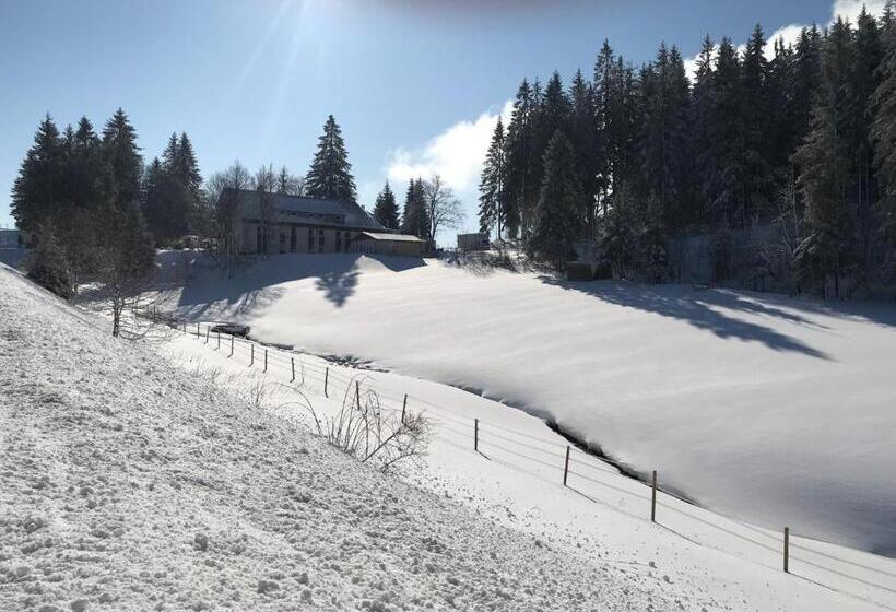 Waldhotel Auerhahn Hochkopfhaus