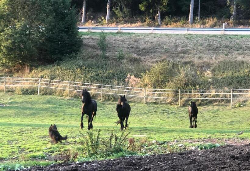 Waldhotel Auerhahn Hochkopfhaus