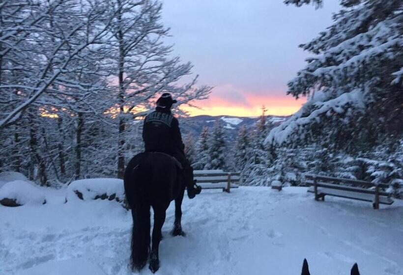 Waldhotel Auerhahn Hochkopfhaus