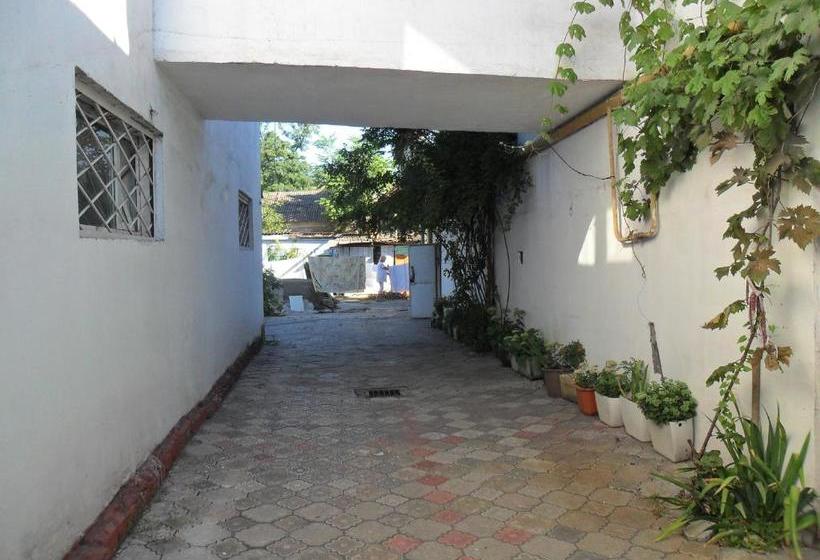 Hostel лавка власова