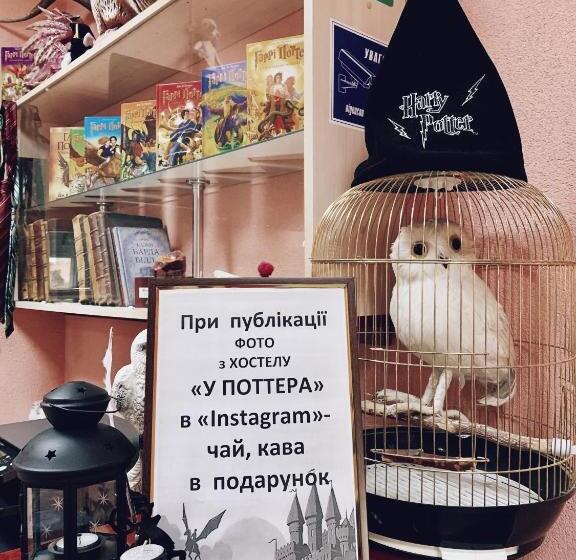 هاستل у поттера