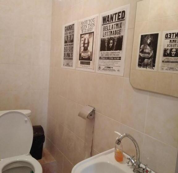 هاستل у поттера