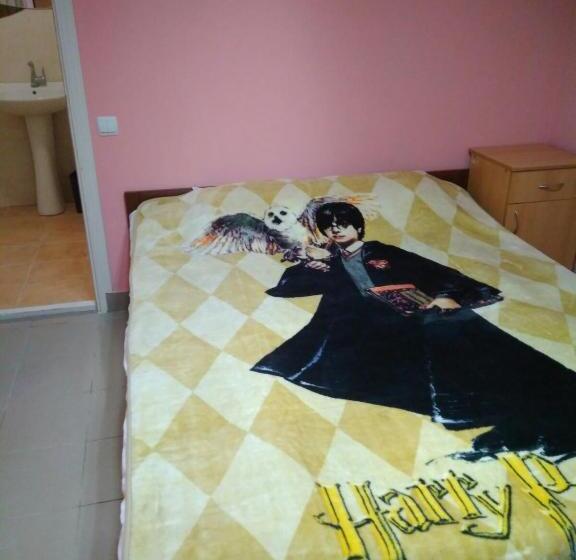 هاستل у поттера