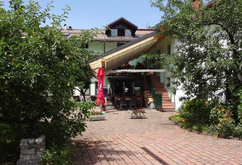 تختخواب و صبحانه Fedrig Rooms With Bathroom & Hostel Rooms